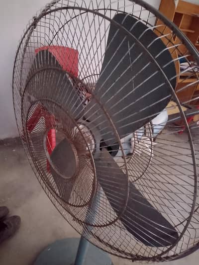Heera fan chalo