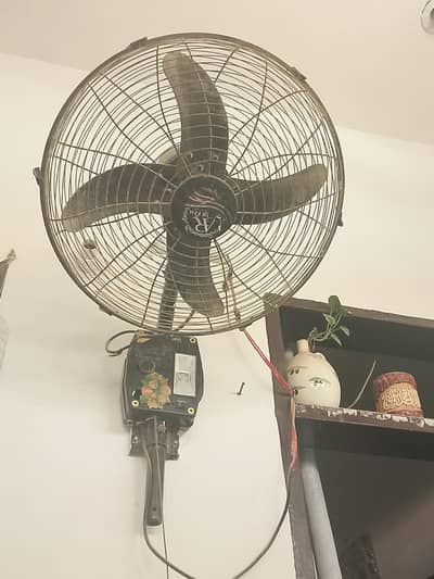 Bracket fan