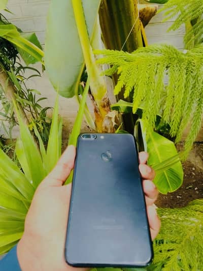 iPhone 7plus exchange possible