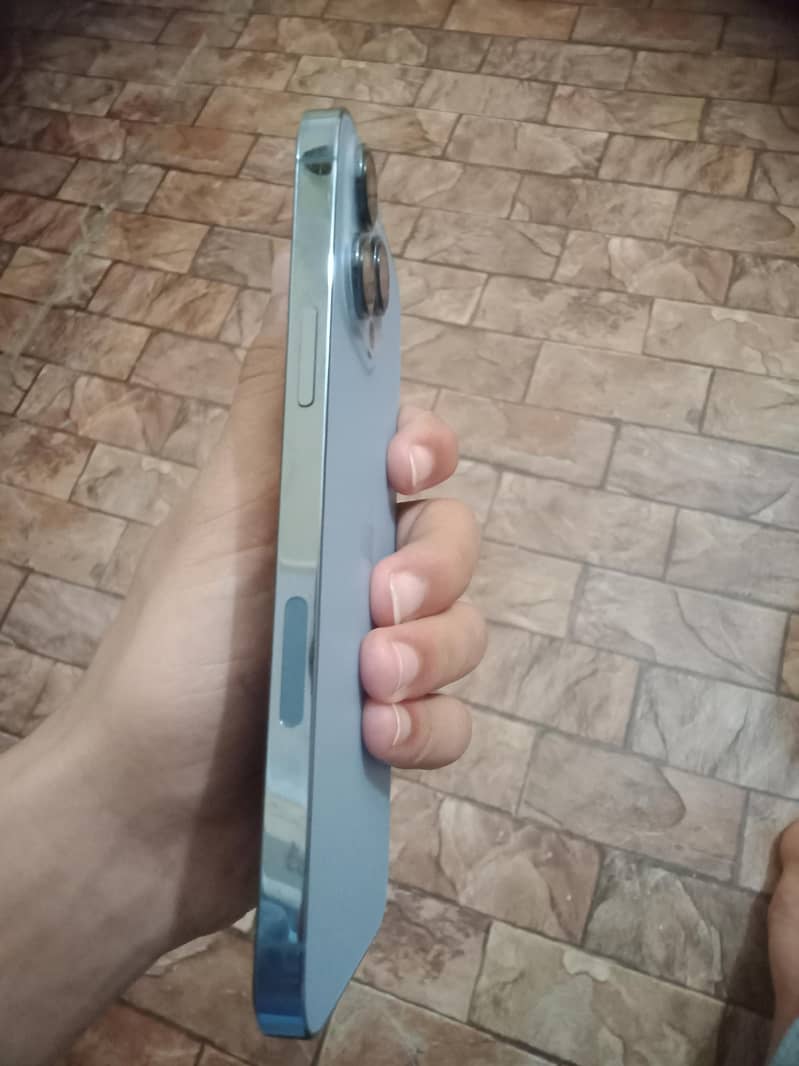 13 pro Max 1