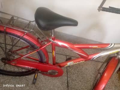 SAFARI BICYCLE 03055850161
