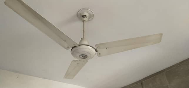 3fans hain 3600 1 fan ki قیمت hai ۔