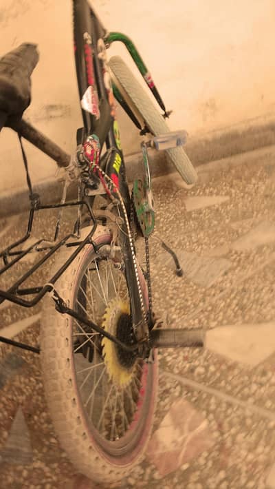 Willing cycle and gare cycle