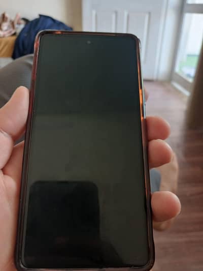 Pixel 7 scratchless condition
