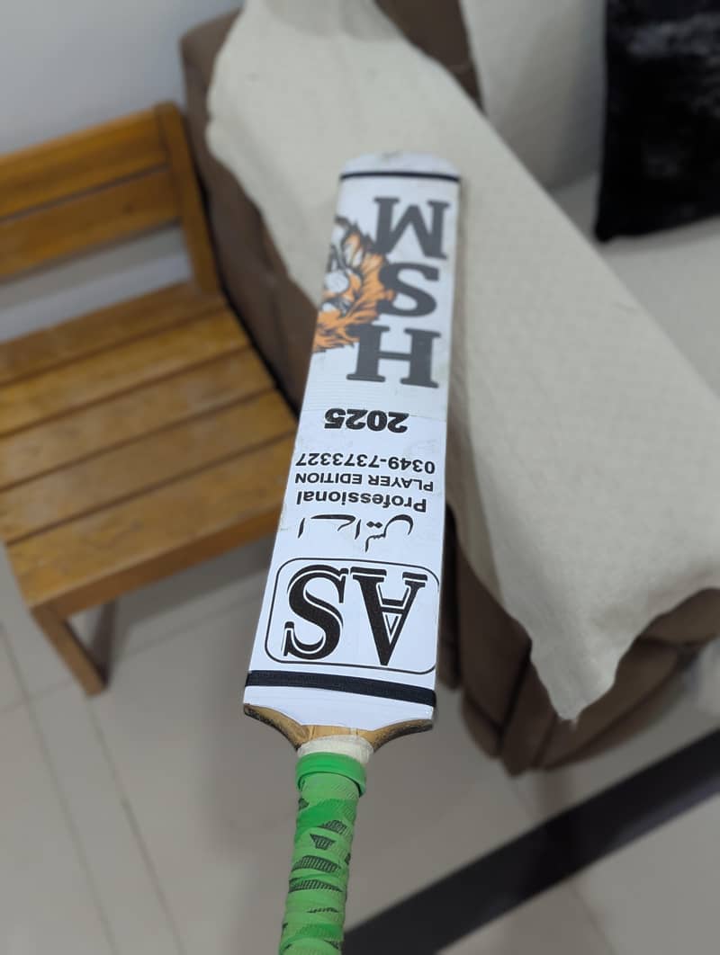 Cricket bat 0