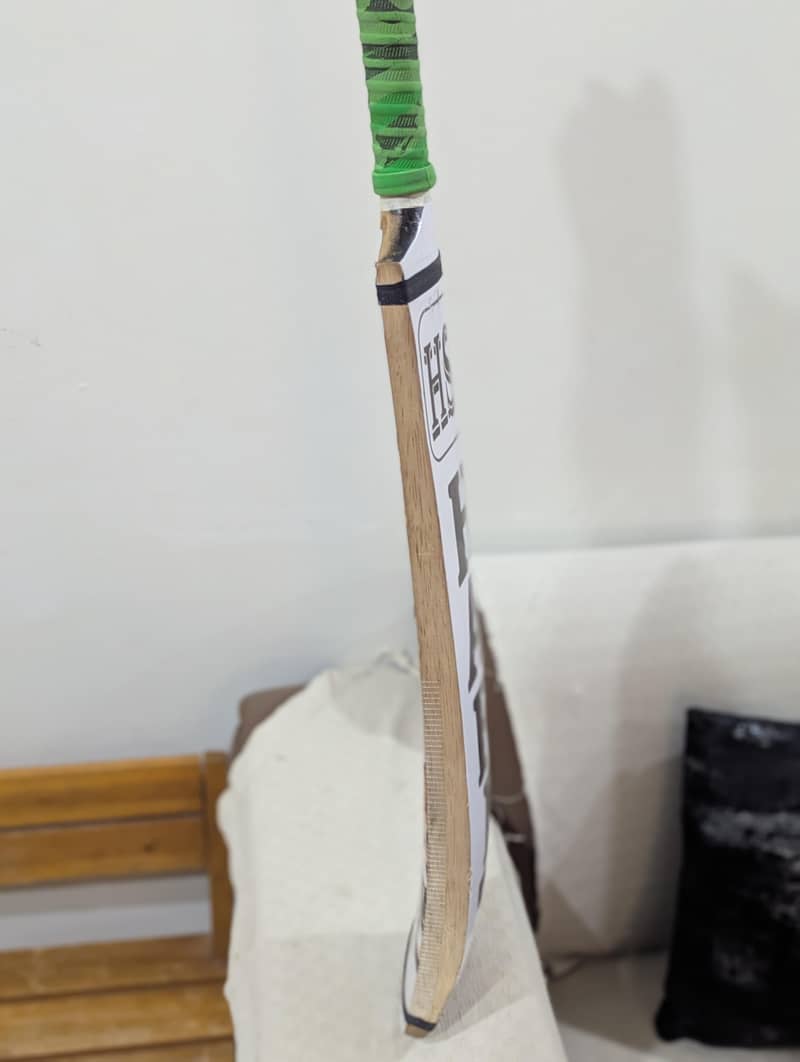 Cricket bat 1