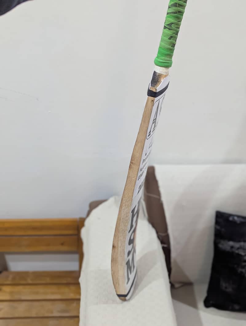 Cricket bat 2