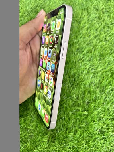 iPhone 12 Pta approved