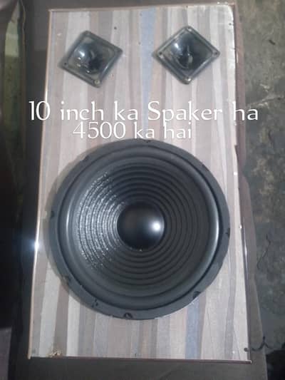 10 inch speaker