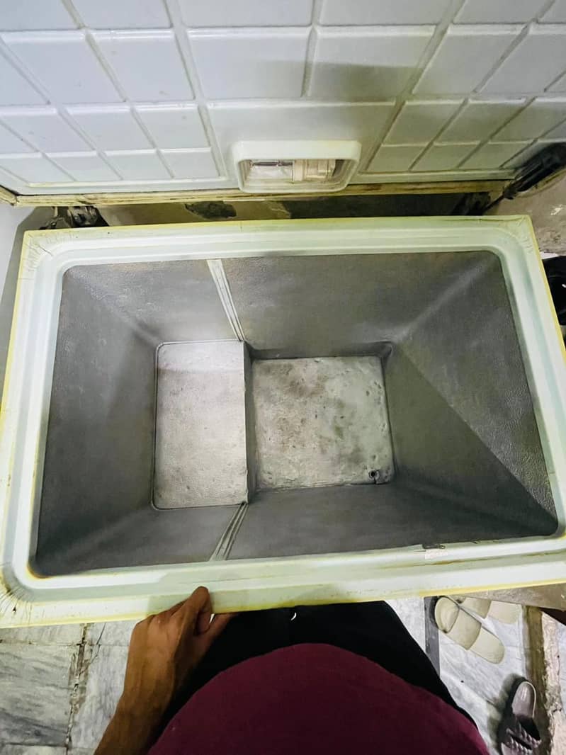 waves deep freezer 1