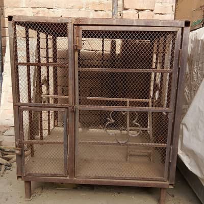 parrot cage