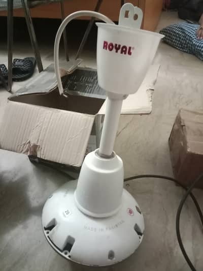 Royal ceiling fan