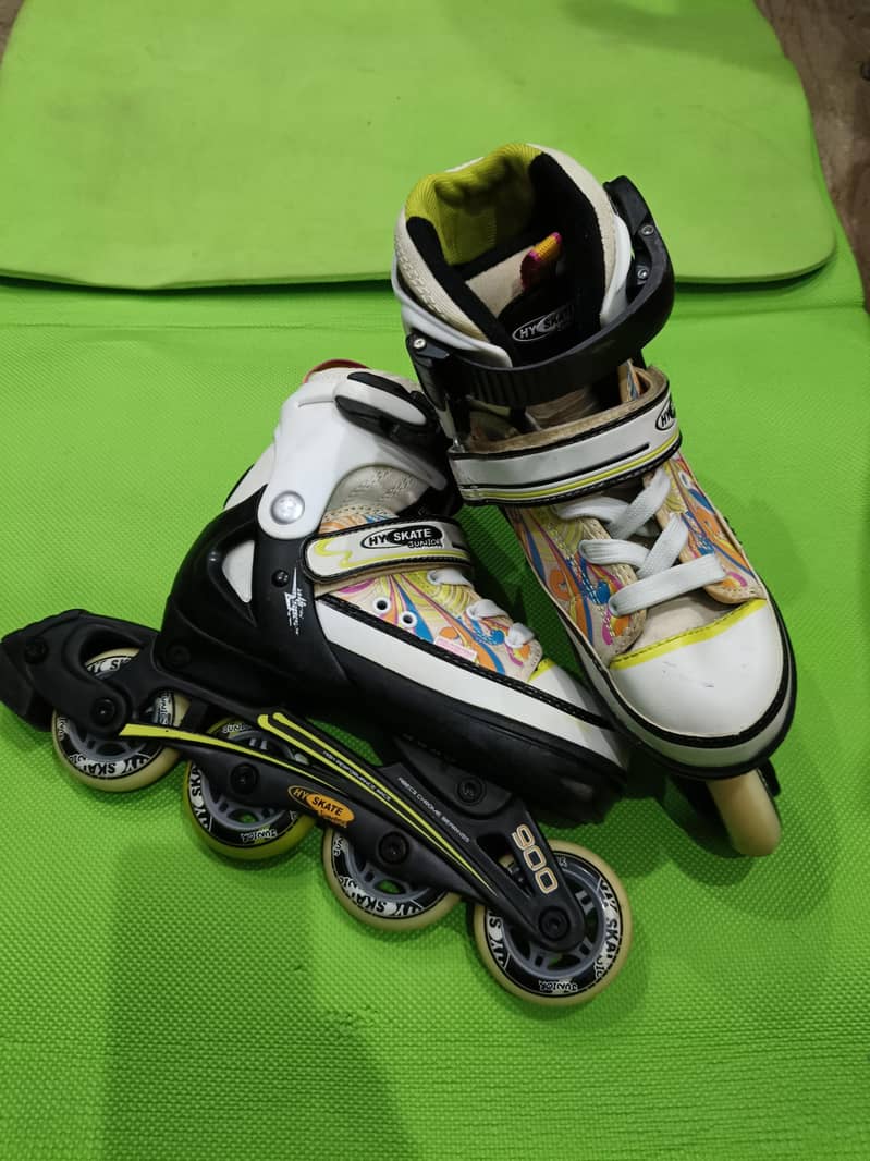 Skate  0