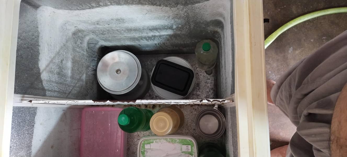 freezer 3