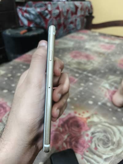 iphone 6