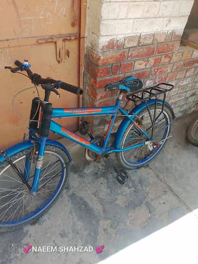 kids bicycle 