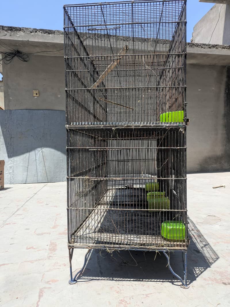 Two Cages 0