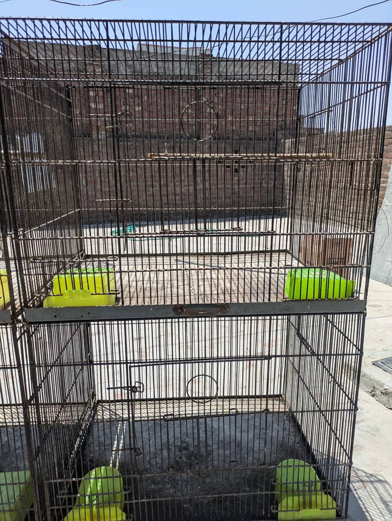 Two Cages 2