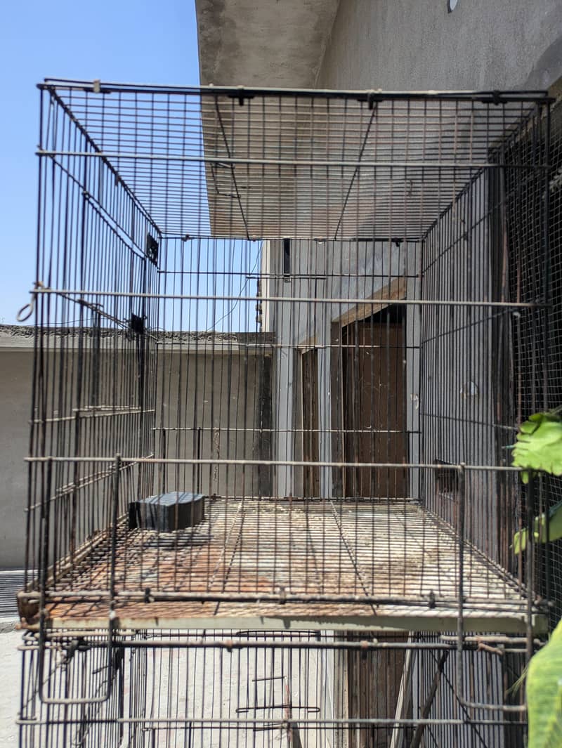 Two Cages 3