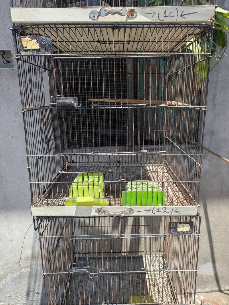 Two Cages 4