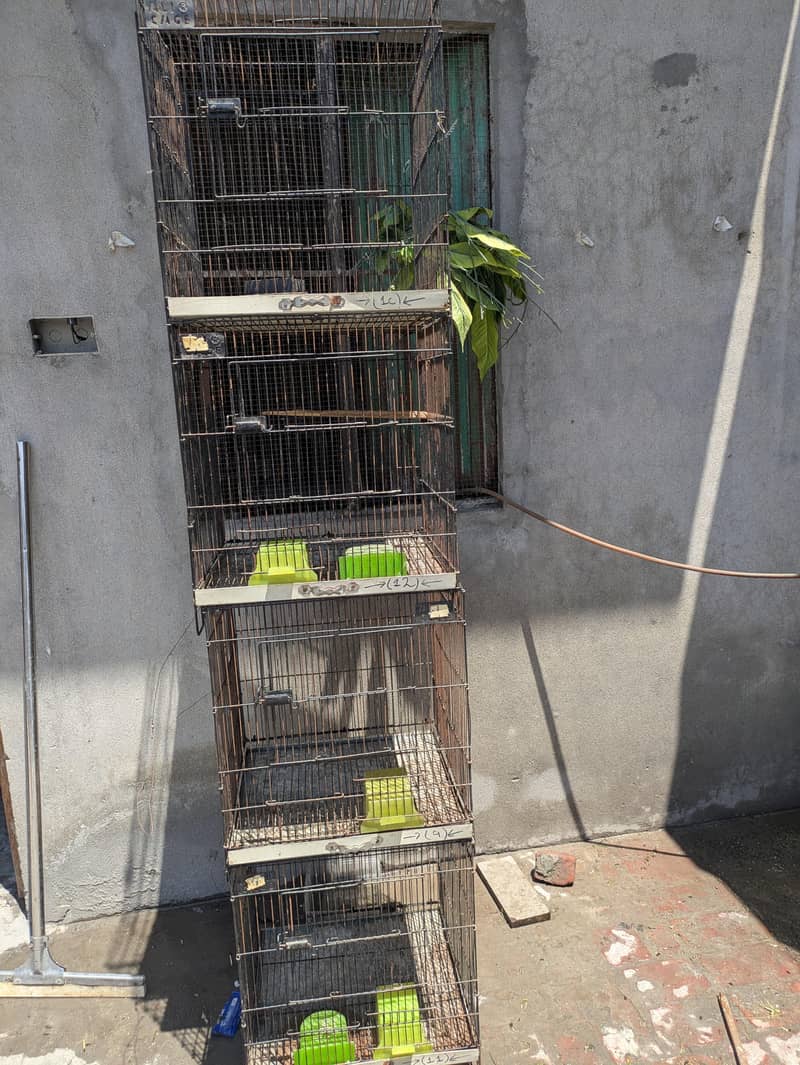 Two Cages 5