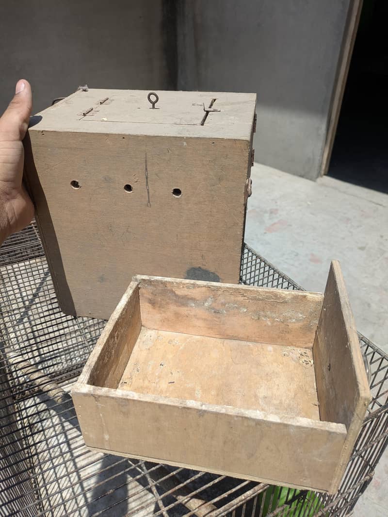 Two Cages 6