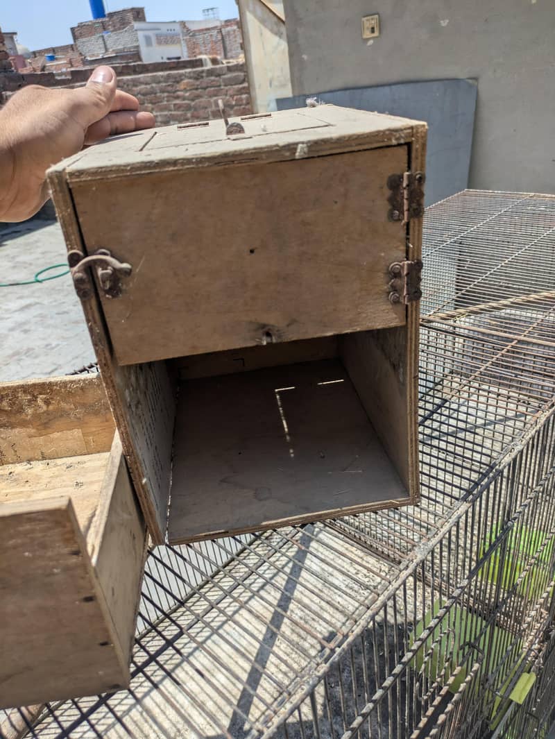 Two Cages 7