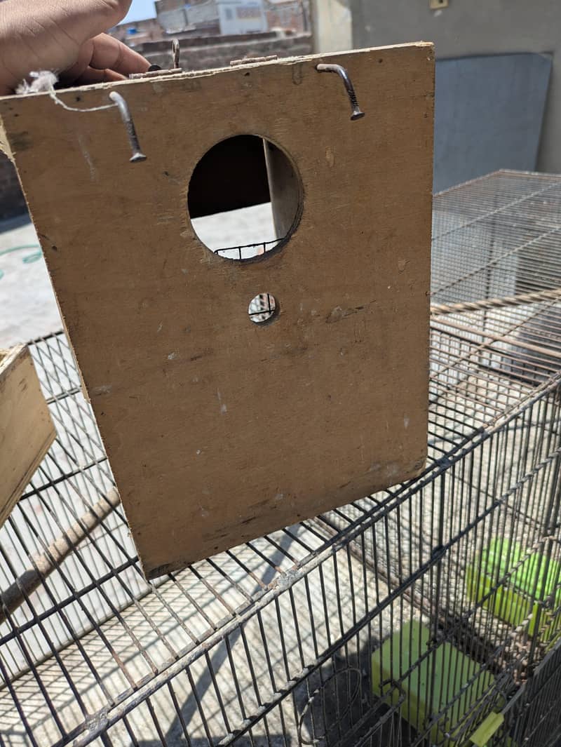 Two Cages 8