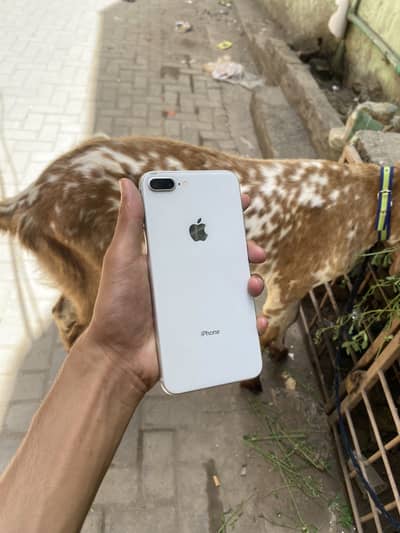 I phone 8 plus
