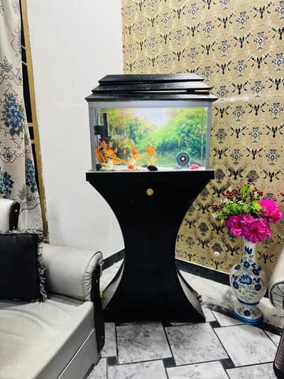 Complete Goldfish Aquarium Setup – Plug & Play (5 Pairs + Full Gear)