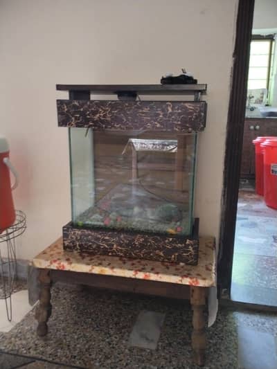 aquarium