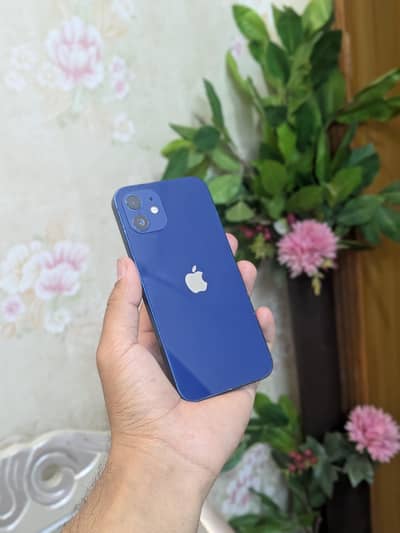 Iphone 12 | Factory unlocked