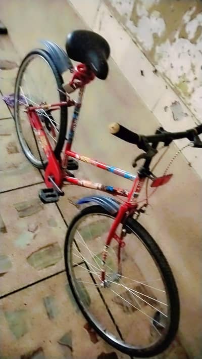 imported sport cycle