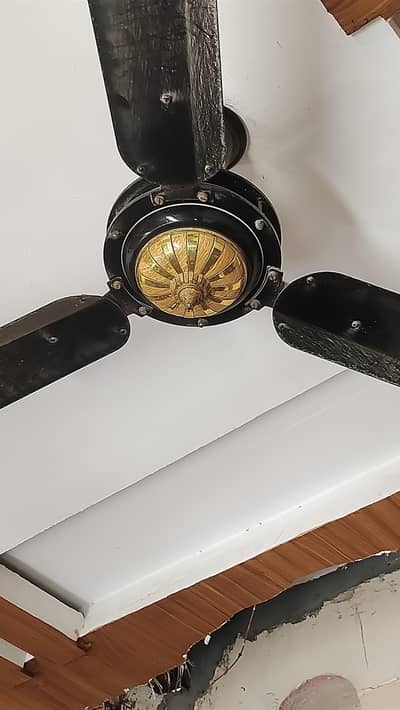 Beautiful Black & Golden Ceiling Fan for Sale