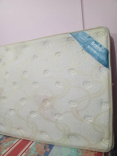 Master Celeste foam