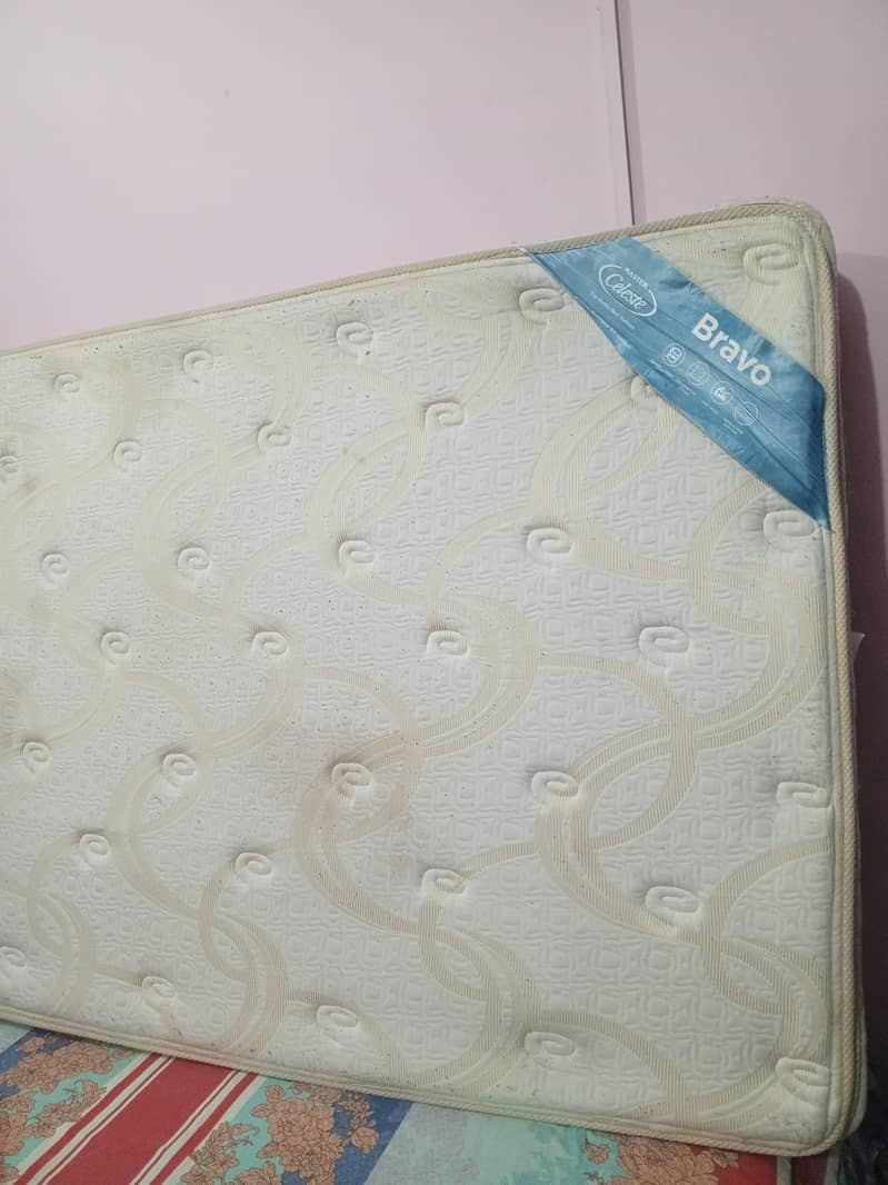 Master Celeste foam 0