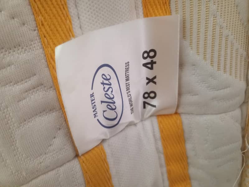 Master Celeste foam 2