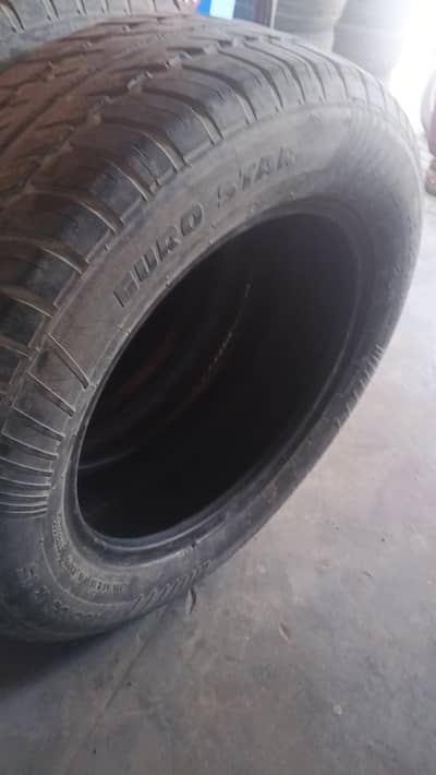 Eurostar tire size 195,,65,,15