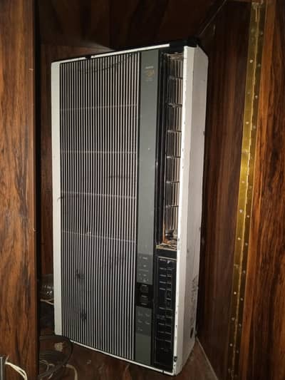 110 Ac with 220 to 110 converter