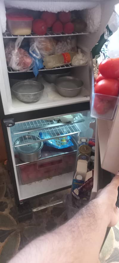 Haier New Fridge For sale HRF-216