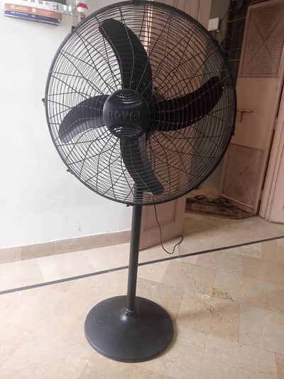 Royal Pedestal Fan for Cows