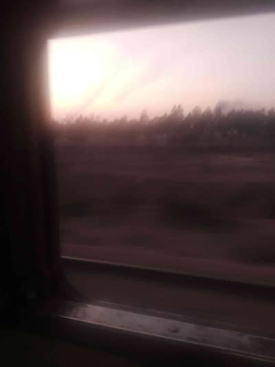 Tanveer