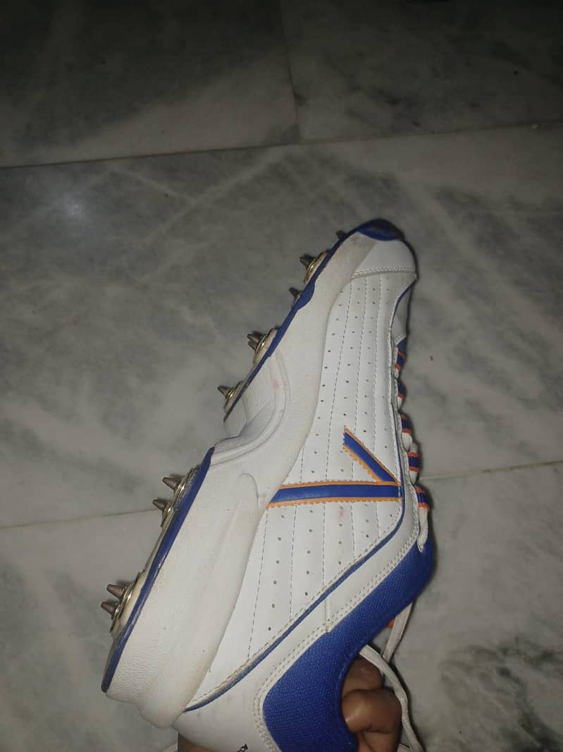 spikes 5