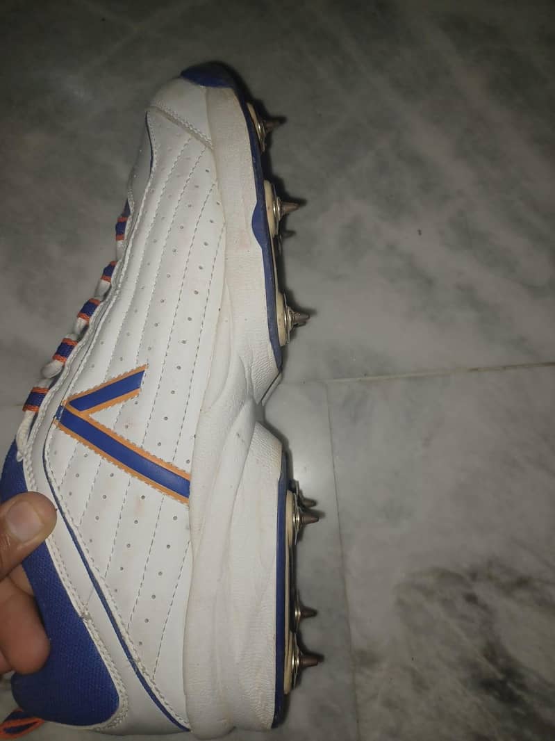 spikes 6
