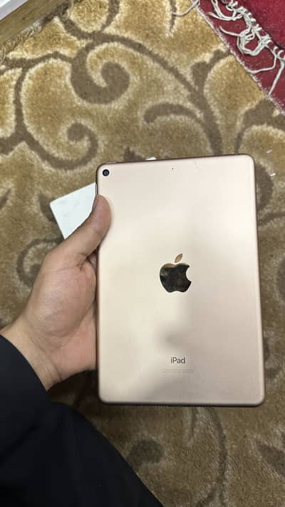 iPad mini 5