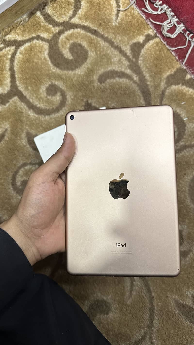 iPad mini 5 0