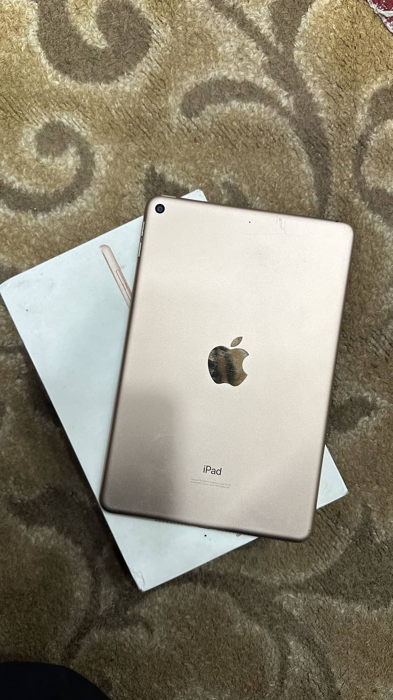 iPad mini 5 1