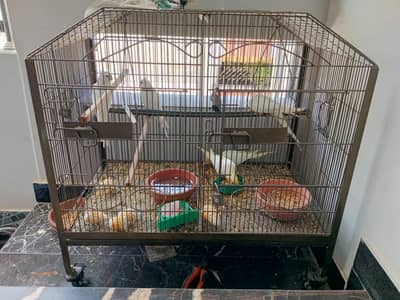 cages for sale (only cage)