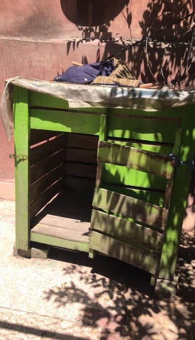 dog house