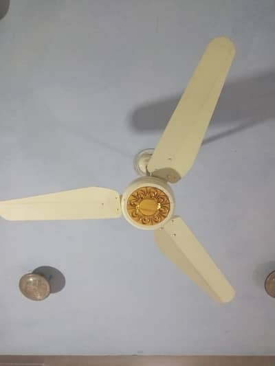 Super Pearl Fancy Model | Eco-Smart 30 Watt